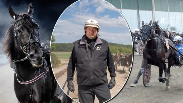 Foto: Lars Jakobsson/Thomas Blomqvist/TR Bild/Montage