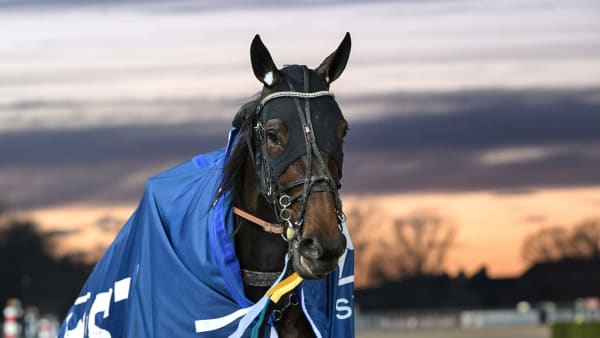 Foto: LARS JAKOBSSON / TR BILD