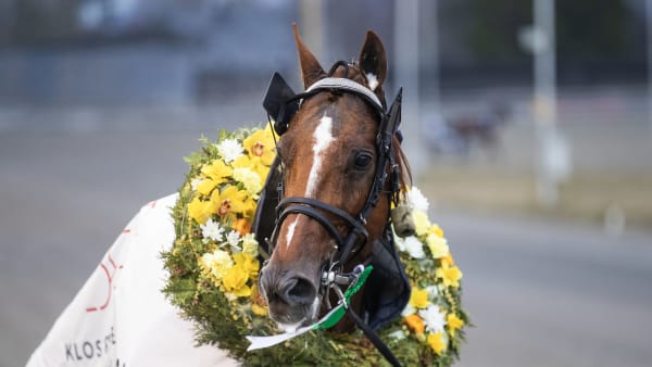 Foto: MORTEN SKIFJELD/HESTEGUIDEN