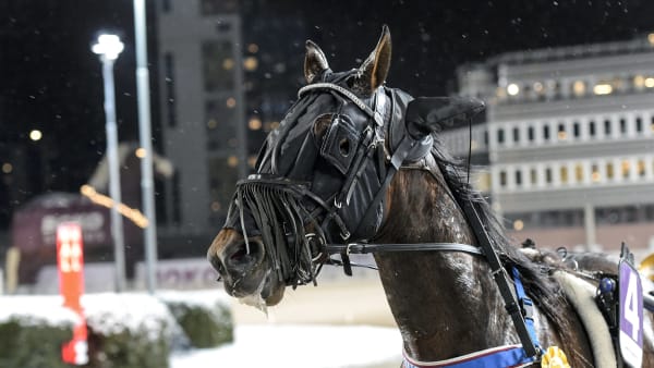 Foto: LARS JAKOBSSON / TR BILD