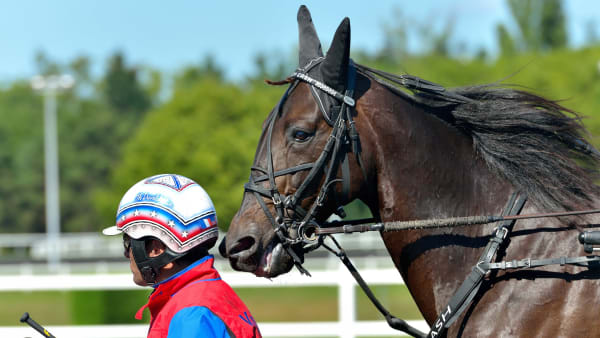 Foto: JEAN-LUC LAMAÈRE/LE TROT