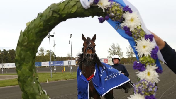 Foto: MARIA HOLMÉN / TR BILD