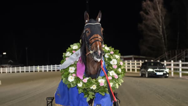 Foto: LARS JAKOBSSON / TR BILD