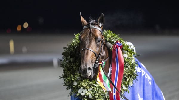 Foto: HESTEGUIDEN.COM