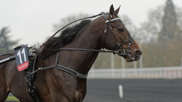 Foto: Jean-Luc Lamère/Le Trot