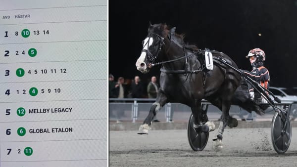 Foto: Privat & TR Bild.