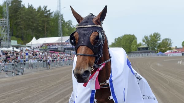 Foto: LARS JAKOBSSON / TR BILD