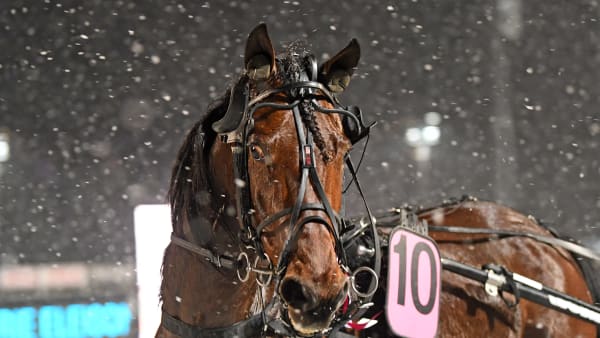 Foto: MALIN ALBINSSON / TR BILD