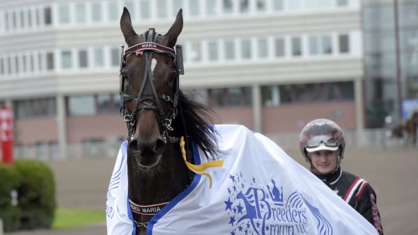 Foto: LARS JAKOBSSON / TR BILD