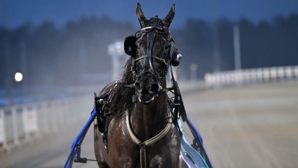 Foto: LARS JAKOBSSON / TR BILD