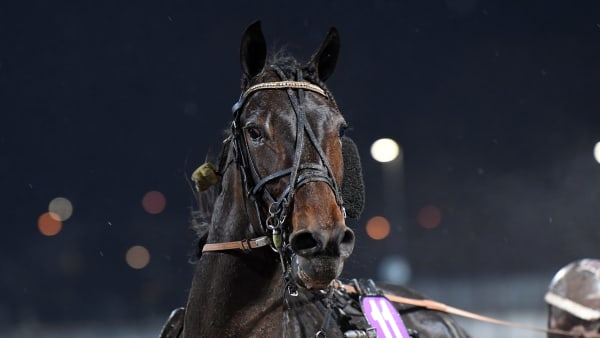 Foto: MALIN ALBINSSON / TR BILD