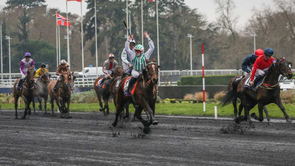 Foto: Bruno Vandevelde/LeTrot