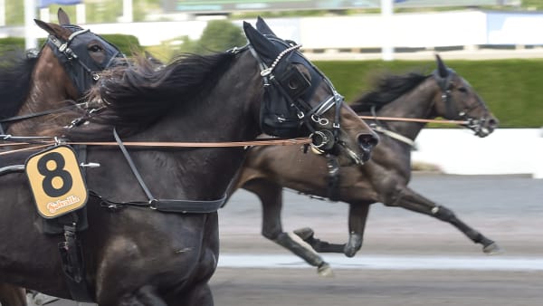 Foto: LARS JAKOBSSON/TR BILD