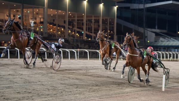 Foto: MIKAEL ROSENQUIST / TR BILD