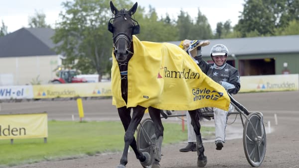 Foto: LARS JAKOBSSON / TR BILD