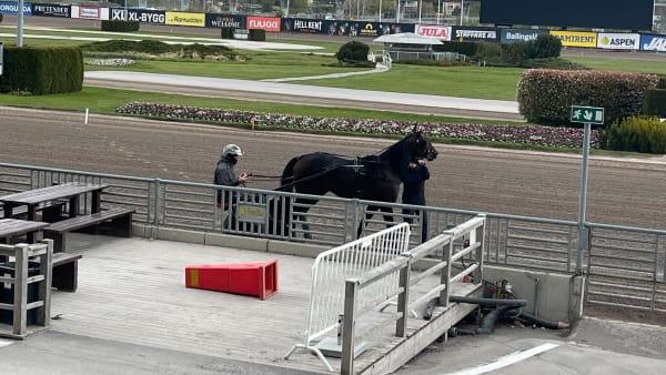 Foto: PATRICK SJÖÖ/TR BILD