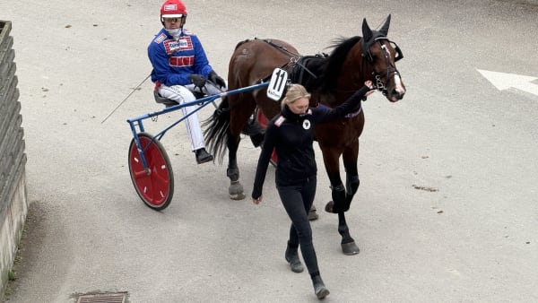 Foto: Rickard Hansson/TR BILD