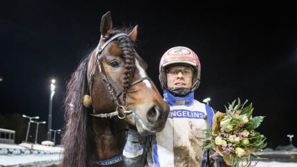 Foto: DAVID SCHREINER / TR BILD