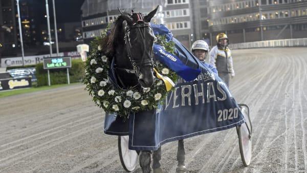 Foto: LARS JAKOBSSON / TR BILD