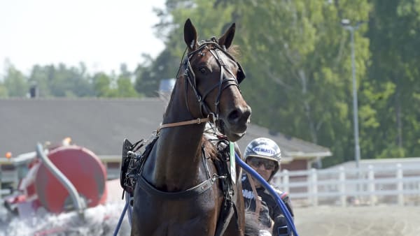 Foto: LARS JAKOBSSON / TR BILD