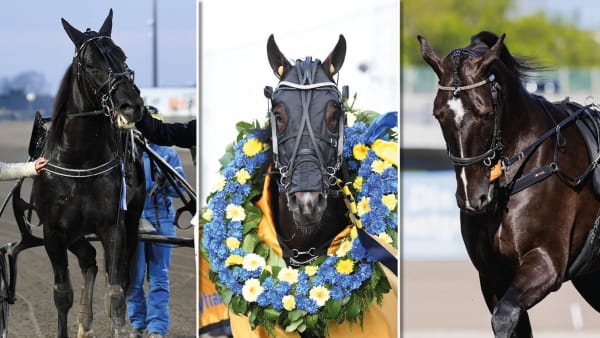 Foto: Albinsson, Albinsson, Emmoth.
