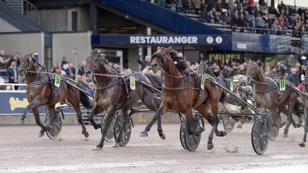 Foto: LARS JAKOBSSON / TR BILD