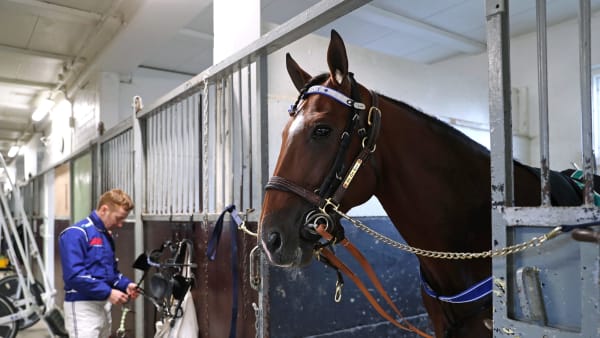 Foto: MARIA HOLMÉN / TR BILD