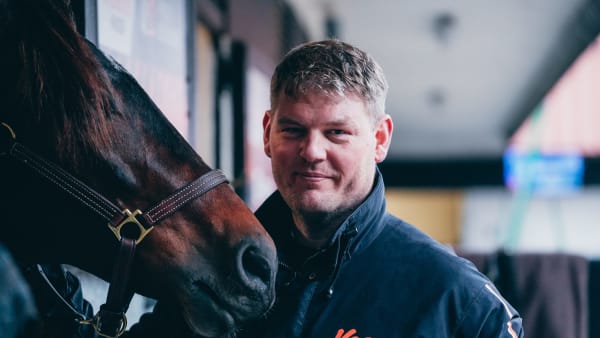 Foto: Alex ZONA - Trotteur Français