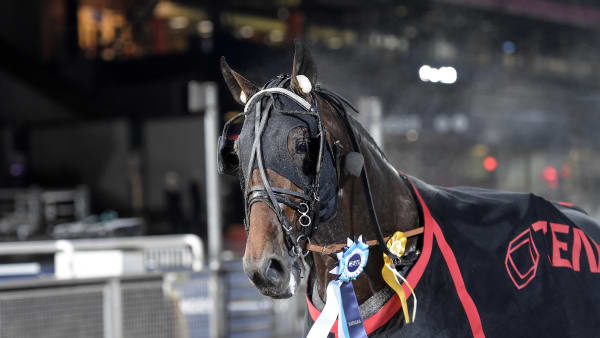 Foto: LARS JAKOBSSON / TR BILD