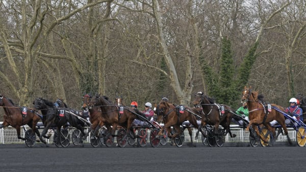 Foto: Jean-Luc lamaère-LeTROT.