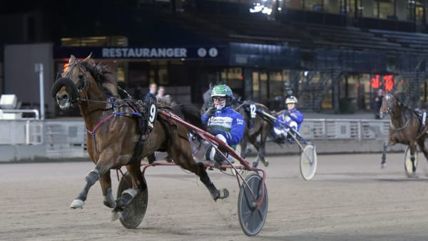 Foto: LARS JAKOBSSON / TR BILD