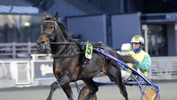 Foto: LARS JAKOBSSON / TR BILD