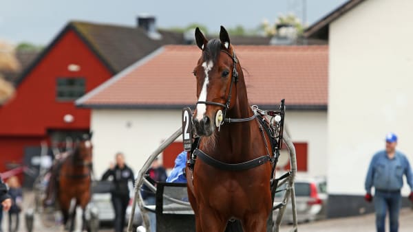 Foto: MATILDA ÖHRMAN / TR BILD