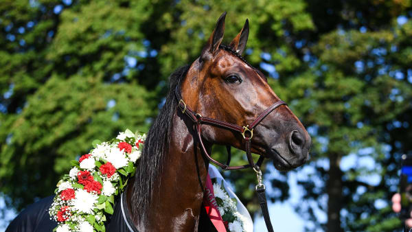 Foto: MALIN ALBINSSON / TR BILD