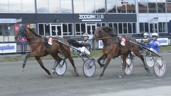 Foto: LARS JAKOBSSON / TR BILD