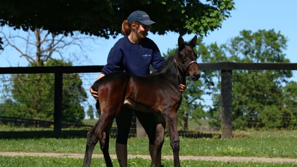 Foto: HEIDI LAAKSONEN