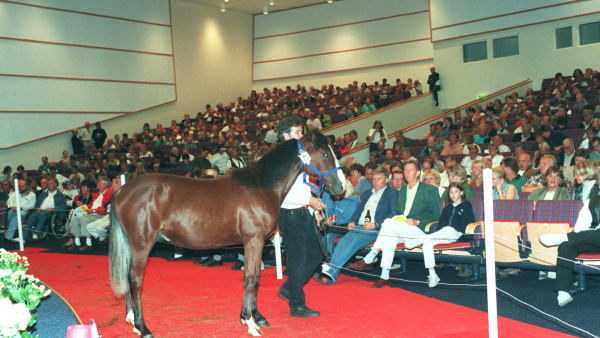 Foto: CLAES KÄRRSTRAND