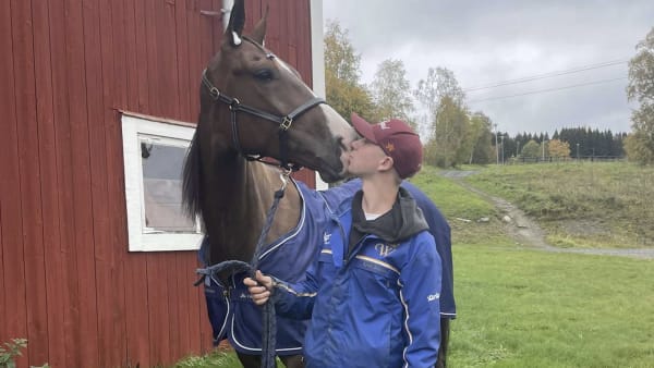 Cocktail Brodda · Senaste nyheterna om trav · Travronden