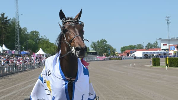 Foto: LARS JAKOBSSON / TR BILD