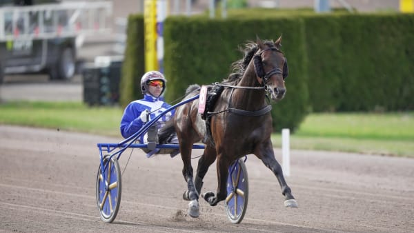 Foto: THOMAS BLOMQVIST/TR BILD