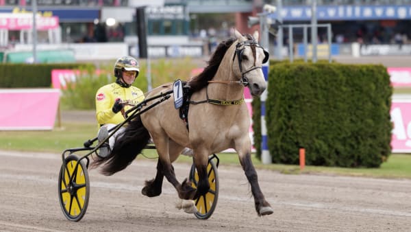 Foto: LENA EMMOTH / TR BILD