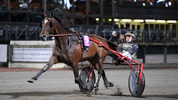 Foto: MALIN ALBINSSON / TR BILD