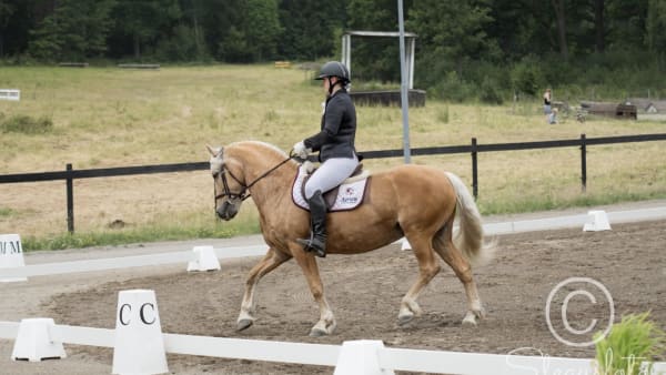 Foto: Stefan Gustavsson