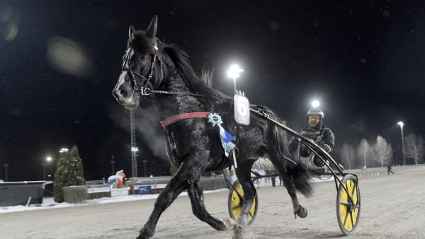 Foto: LARS JAKOBSSON / TR BILD