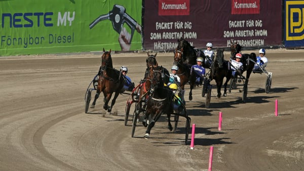 Foto: MATILDA ÖHRMAN / TR BILD