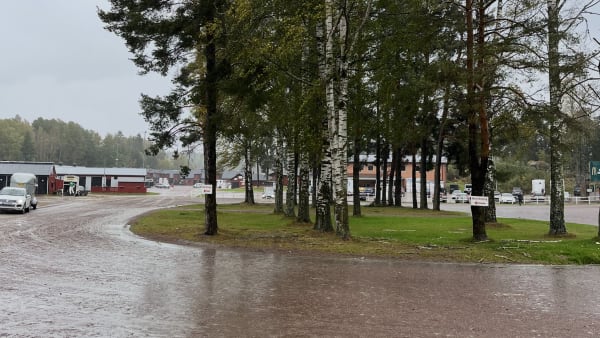 Foto: André Bood/TR Bild.