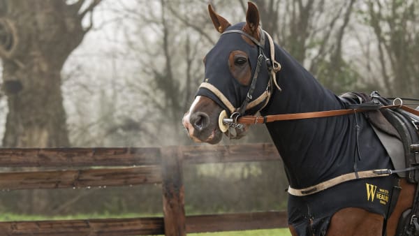 Foto: JEAN-LUC LAMAÈRE/TR BILD