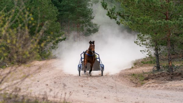 Foto: THOMAS BLOMQVIST / TR BILD