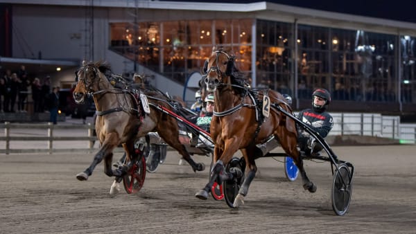 Foto: MIKAEL ROSENQUIST / TR BILD