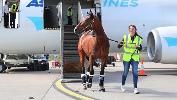 Foto: MARIA HOLMÉN/ TR BILD